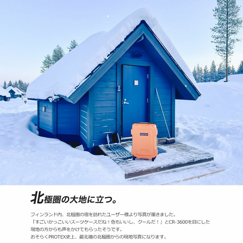 フィンランドから写真が届きました